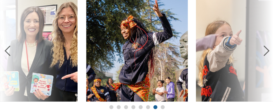 Picture carousel of images found in the image gallery